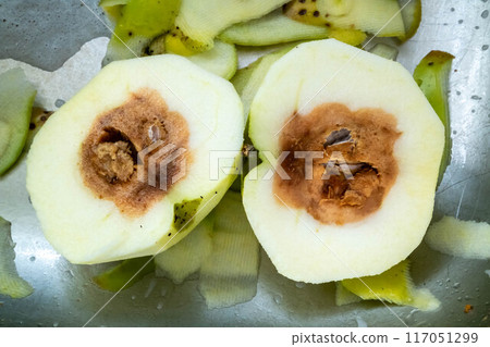 Rotten apple looking very good from outside but it is rotten from the inside Rotten apple looking very good from outside but it is rotten from the inside 117051299