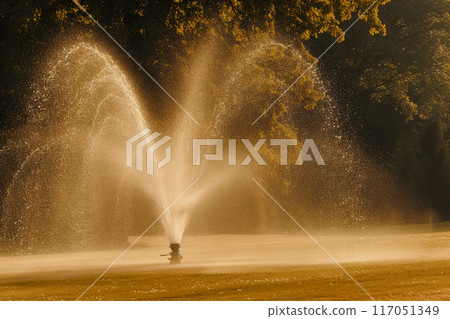 Unattended Lawn Beauty: Automated Watering Excellence 117051349