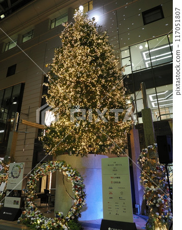 Fukuoka Christmas Advent, Passage Street, Tenjin, Chuo-ku, Fukuoka City, Fukuoka Prefecture 117051807