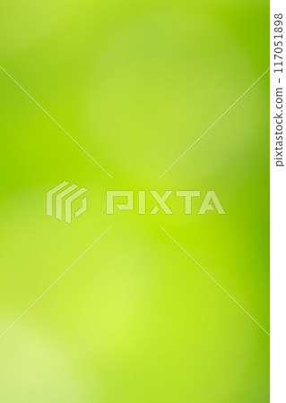 The green leaves are softly blurred. selective focus, Abstract green blurred soft nature background. The green leaves are softly blurred. selective focus, Abstract green blurred soft nature background. 117051898
