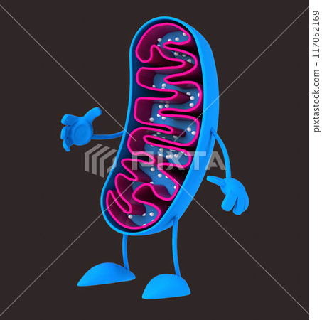 Fun 3D cartoon character 117052169