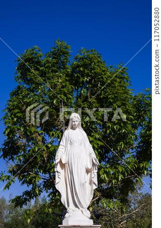 statue of Virgin Mary at the Cathedral of the Sacred Heart of Jesus in Tashkent in Uzbekistan 117052880