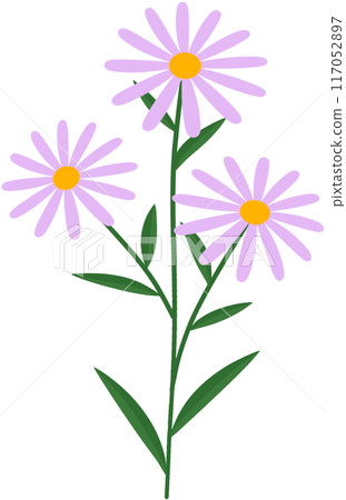 Flower Flower 117052897