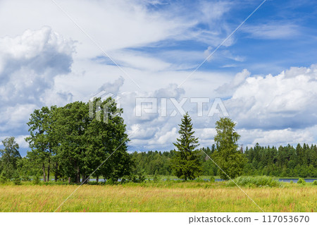 Summer landscape with trees under cloudy blue sky. Valday 117053670