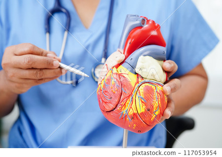 Alzheimer disease, Asian doctor holding brain anatomy model for study diagnosis and treatment in hospital. 117053954