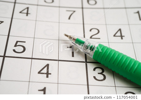 Sudoku puzzle, game to play for keep you brain younger for developing Alzheimer disease in senior patient. 117054001