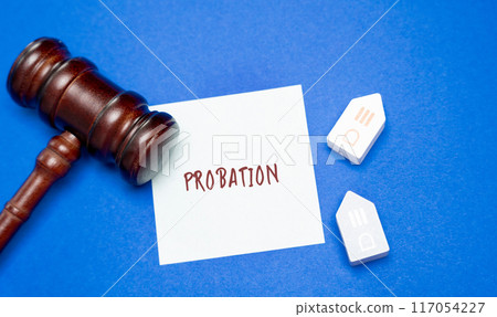 Inscription Probation and houses with gavel. Legal processes and regulations governing the distribution of a deceased person's estate. Court process in law 117054227
