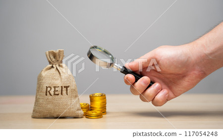 Money bag Reit and businessman. Real estate investment trust concept. Company that owns, operates, or finances income-generating real estate. 117054248