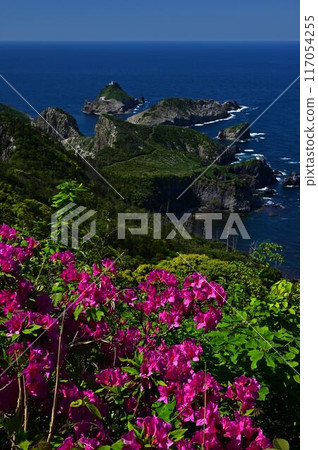 杜鵑花盛開，碧海藍天 117054255