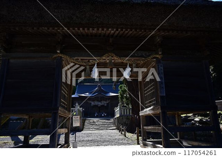 玉若命命神社的八棵杉樹 117054261