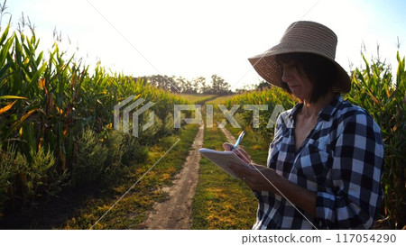 Female agronomist looking the condition stalks of corn and writing data in notebook. Adult farmer in straw hat making notes in notepad on maize meadow at sunset. Concept of agricultural business Female agronomist looking the condition stalks of corn and writing data in notebook. Adult farmer in straw hat making notes in notepad on maize meadow at sunset. Concept of agricultural business 117054290