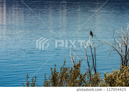 Beautiful scenic view of Lake Nahuel Huapi, San Carlos de Bariloche 117054423