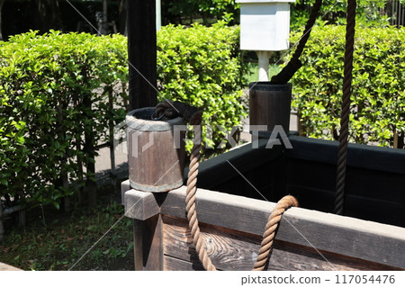 Old well 117054476