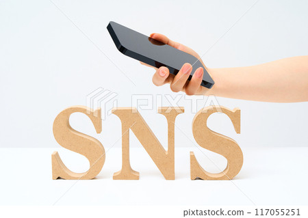 與“SNS”排列的字母木塊 117055251