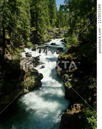 Beautiful clear stream 117055349