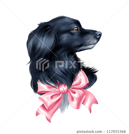 Cute black dog with pink bow. Animal illustration isolated on white. 117055366