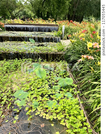 Waterfall in the garden with green grass and flower in the park 117055445