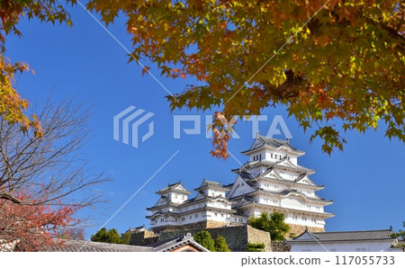 姬路城在秋天的天空中閃閃發光 117055733