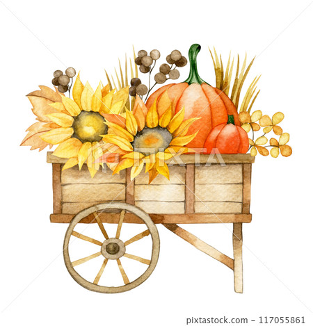 watercolor drawing, cart with pumpkins and sunflower flowers in vintage style. card for thanksgiving day, rural, harvest holiday watercolor drawing, cart with pumpkins and sunflower flowers in vintage style. card for thanksgiving day, rural, harvest holiday 117055861