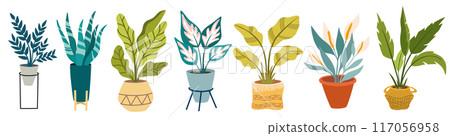 1523_jungle1 1523_jungle1 117056958