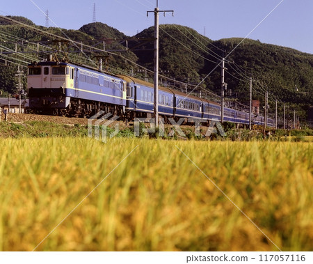 JNR Locomotive EF65 PF EL Chikuma Yamazaki Hyakuyama Rice ears Autumn 117057116
