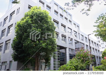 Tokyo Metropolitan Shinjuku Yamabuki High School 117058080