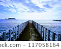 Road leading to the sea 117058164