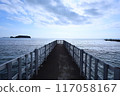 Road leading to the sea 117058167