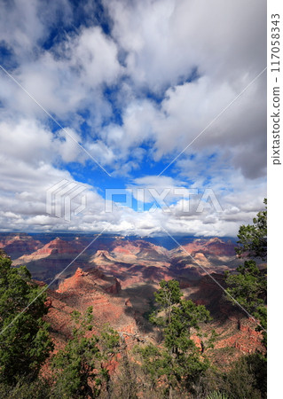 Spectacular views of the Grand Canyon in Arizona, USA 117058343
