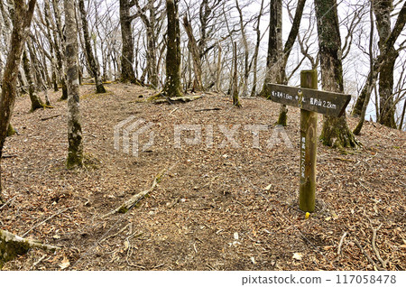 Tanzawa's Koshu border ridge: Nakanomaru summit Tanzawa's Koshu border ridge: Nakanomaru summit 117058478