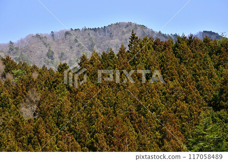 丹澤市山梨百名山之一的鳥房莊山 丹澤市山梨百名山之一的鳥房莊山 117058489
