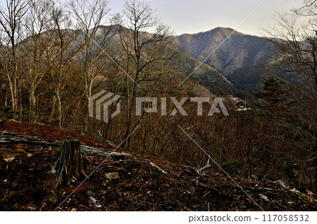 從丹澤秋葉山山頂、日出時的道子山丘、水組之香、名田山 從丹澤秋葉山山頂、日出時的道子山丘、水組之香、名田山 117058532