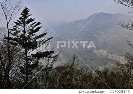 從丹澤鳥房莊山頂眺望晨霧中的富士山和禦佐台山 117058545