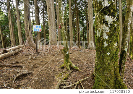 丹澤平橋山山頂 丹澤平橋山山頂 117058550