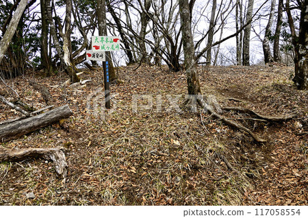 Tanzawa's Okaigiyama: The fork leading down to Urayasu Pass on the Koshu border ridge 117058554