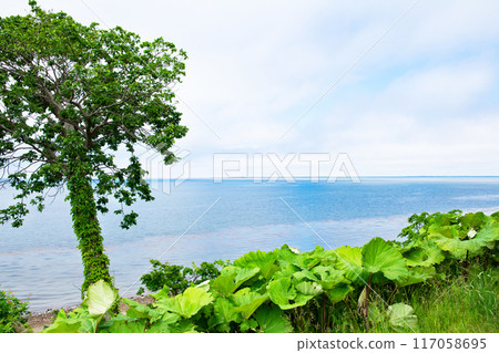 夏季佐呂湖風景 117058695