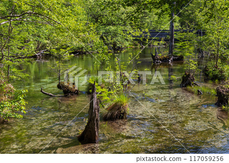 日本最好的山區度假勝地之一，綠樹成蔭的上高地 117059256