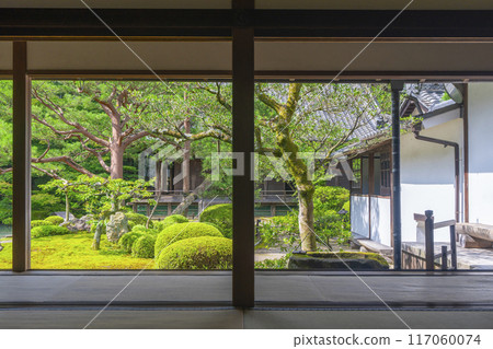 Fresh greenery in Kyoto, Shoren-in Temple, Soami's garden as seen from Kachoden Fresh greenery in Kyoto, Shoren-in Temple, Soami's garden as seen from Kachoden 117060074