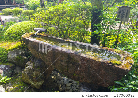 鮮綠的京都青蓮院一文長缽 鮮綠的京都青蓮院一文長缽 117060082