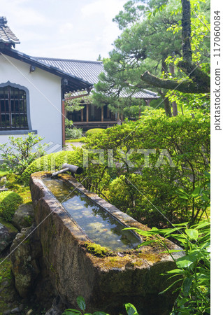 Fresh greenery in Kyoto, Shoren-in Temple, Ichimonji Chozubachi Fresh greenery in Kyoto, Shoren-in Temple, Ichimonji Chozubachi 117060084