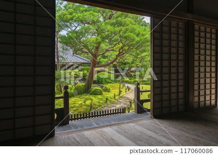 Fresh greenery in Kyoto, Shoren-in Temple, Soami's garden as seen from the Kogosho Fresh greenery in Kyoto, Shoren-in Temple, Soami's garden as seen from the Kogosho 117060086