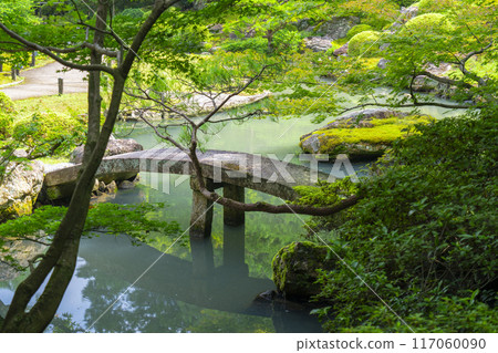 鮮綠的京都青蓮院索阿米花園 117060090