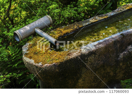 鮮綠的京都青蓮院一文長缽 117060093