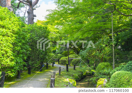 Fresh greenery in Kyoto, Shoren-in Temple, Kirishima Garden 117060100