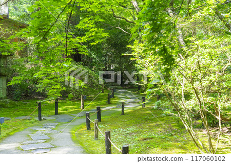 鮮綠的京都、青蓮院、霧島庭園 117060102