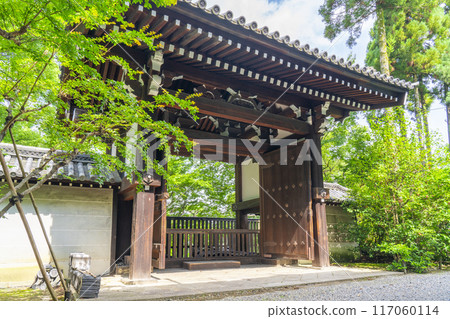 鮮綠的京都青蓮院禦幸門（四足門） 117060114