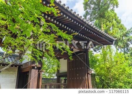 Fresh greenery in Kyoto: Shoren-in Temple, Gokomon Gate (four-legged gate) 117060115