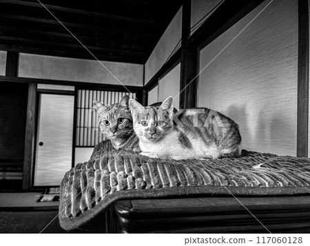 Zashiki Neko ~Showa Era Space~ Zashiki Neko ~Showa Era Space~ 117060128