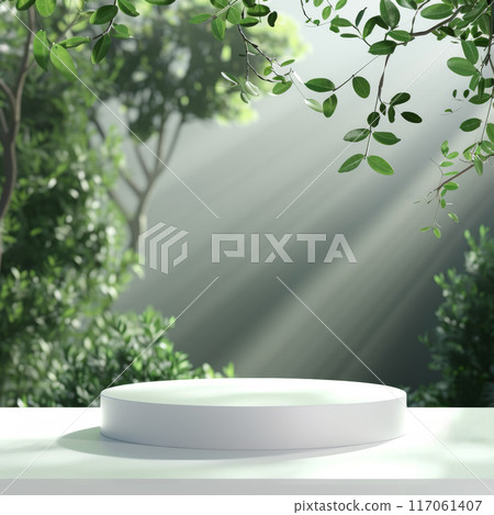 White Platform in a Lush Green Forest with Sunlight Streaming Through the Trees 117061407