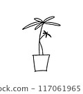 室內植物的簡單例證 117061965